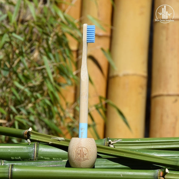 brosse à dents en bambou bleue france