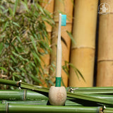 Brosse à dents en bambou verte