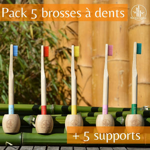 Pack 5 brosses à dents en bambou Mon Beau Bambou et 5 supports
