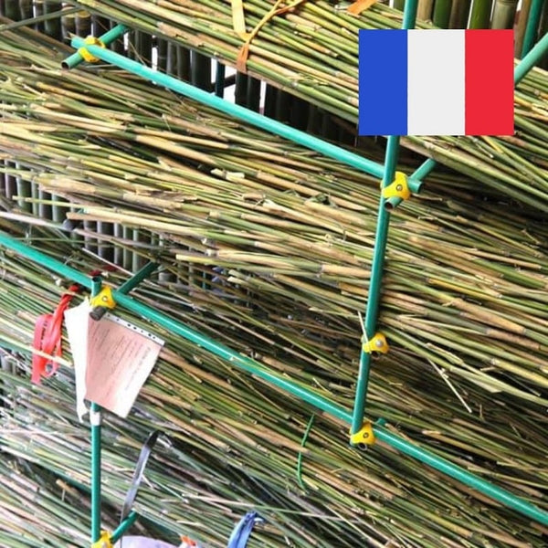 Paille en bambou en France